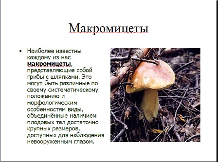 Купить мицелий для выращивания грибов в калининграде. Купить мицелий для выращивания грибов в калининграде.