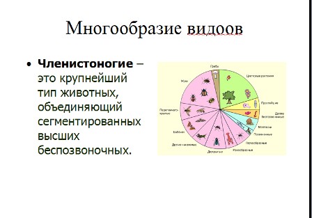 Презентация по биологии Членистоногие
