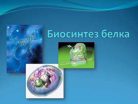 презентация powerpoint на тему Биосинтез белка