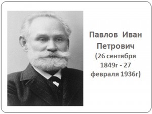 И.П. Павлов