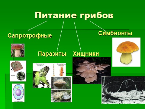 Итоговые задания для 1 класса