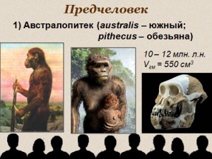 Презентация по биологии 9 класс Эволюция человека