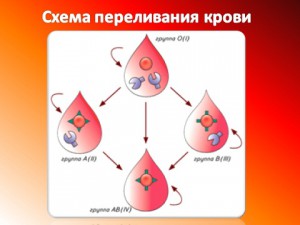 правила переливания крови презентация по биологии 8 класс